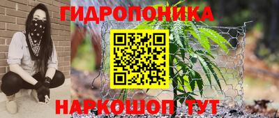 PSILOCYBIN Ликино-Дулёво
