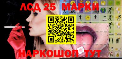 индика Лесосибирск