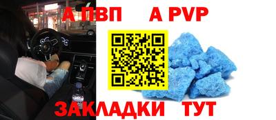 индика Лесосибирск