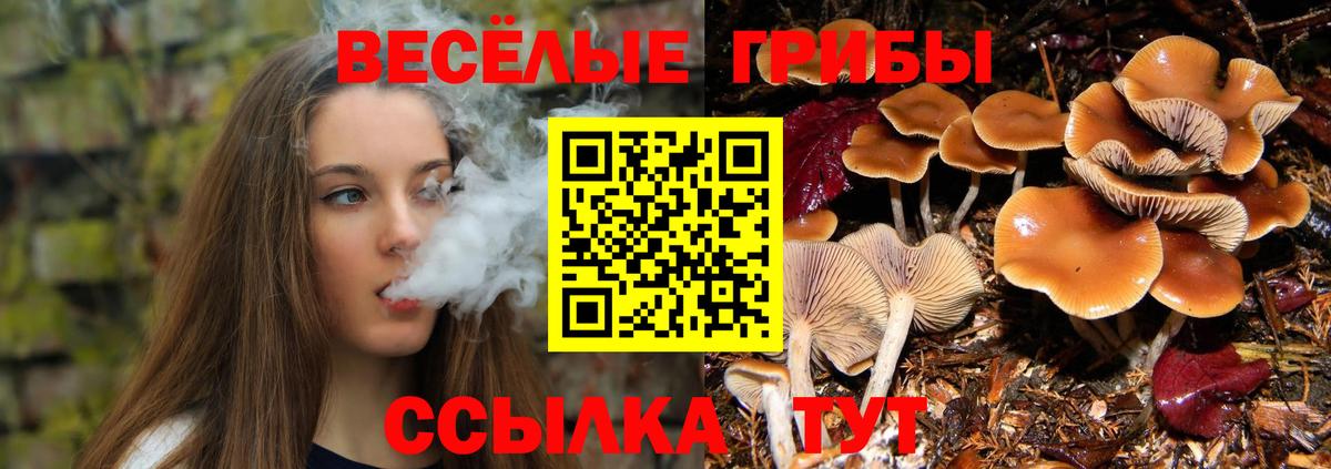 Галлюциногенные грибы прущие грибы  Вход с VPN  Дербент  Галлюциногенные грибы ЛСД 